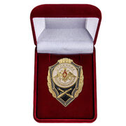 Знак в бархатистом футляре Отличник РВиА