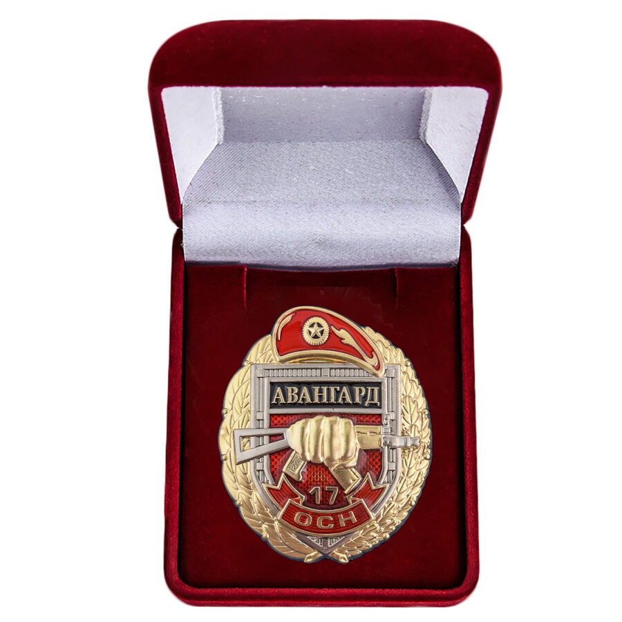 Знак в бархатистом футляре 17 ОСН Авангард