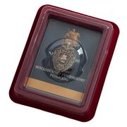 Знак 100 лет Московскому Уголовному розыску в наградной коробке с удостоверением в комплекте