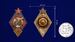 Знак За стрельбу из пулемета на обязательных стрелковых соревнованиях РККА 2 степени муляж 4