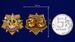 Фрачник 100 лет Войскам РХБ защиты 4