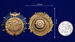 Знак ГВФ По-2 За налет 300 тыс. км в бархатистом футляре (муляж)  8
