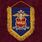 Вымпел МВД России 1