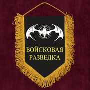 Вымпел Войсковая разведка