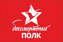 Флаг Бессмертный полк с журавлями