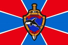 Флаг Спецназа ФСБ Касатка 90х135 большой