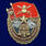 Знак За службу в Сухопутных войсках 1