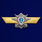 Знак МО РФ Классная квалификация Специалист 2-го класса 1