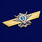 Знак МО РФ Классная квалификация Специалист 2-го класса 2