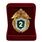 Знак в бархатистом ФПС РФ Специалист 2-го класса 3