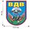 Автомобильная наклейка ВДВ (12,3x15 см) 2