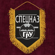 Вымпел черный спецназа ГРУ