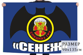 Флаг подразделения Спецназа ГРУ Сенеж