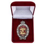 Знак в бархатистом футляре Лучший сотрудник специальных подразделений полиции