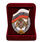 Нагрудный знак в бархатистом футляре Росгвардия 2