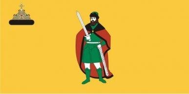 Флаг Рязани