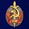 Знак Заслуженный работник внутренних дел 100 лет МВД