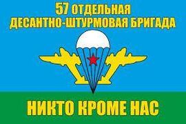Флаг 57 Отдельная десантно-штурмовая бригада ВДВ 90х135 большой