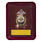 Знак Отличник РЭБ в наградной коробке с удостоверением в комплекте