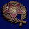 Знак Красного командира (1918-1922 гг.) в бархатистом футляре (муляж) 7