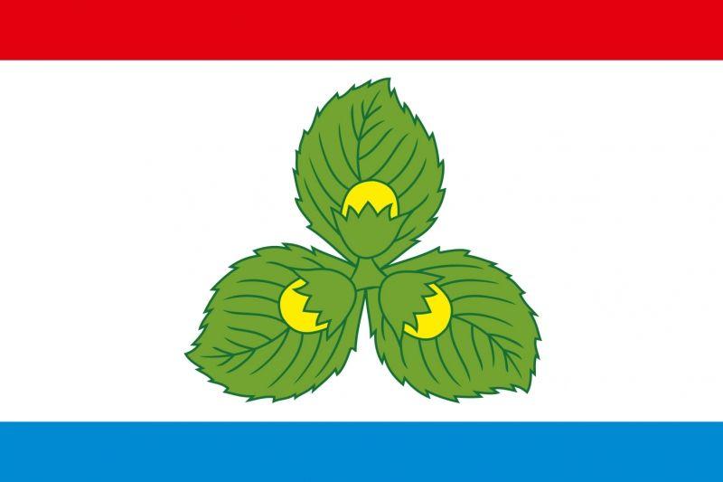Флаг Краснознаменского района Калининградской области