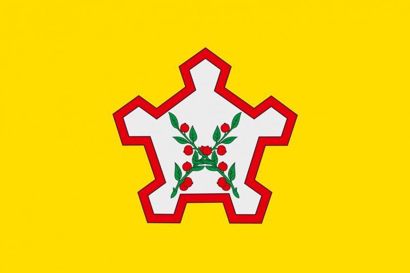 Флаг Чаплыгинского района Липецкой области