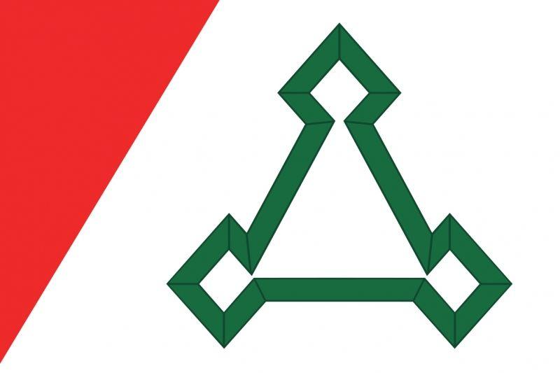 Флаг Волоколамского района Московской области