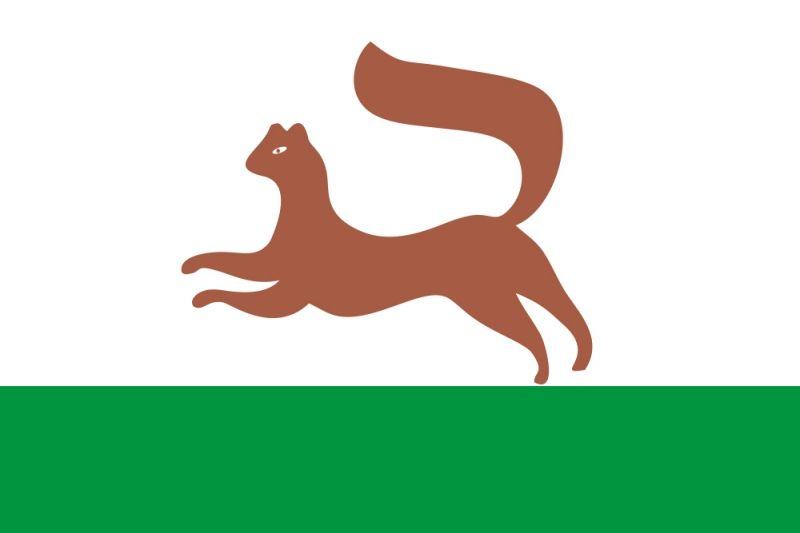 Флаг Уфы Республики Башкортостан