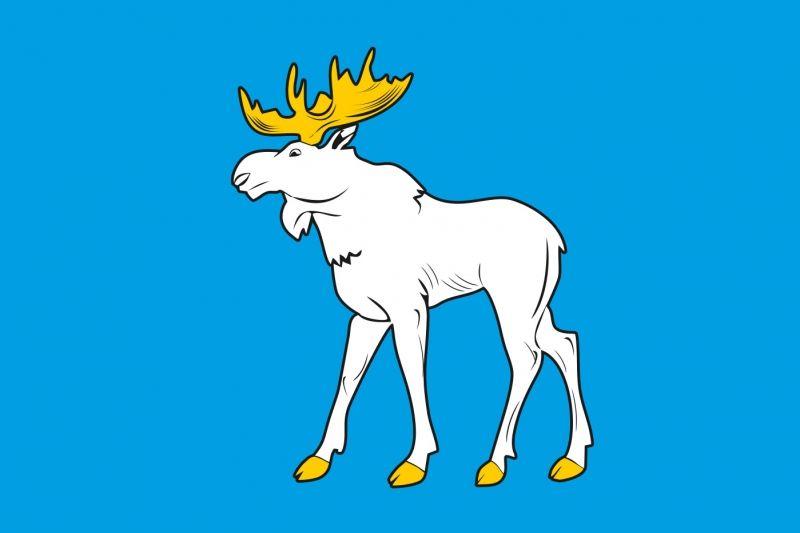 Флаг Йошкар-Олы Республики Марий Эл