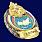Знак в бархатистом футляре За отличие МЧС 8
