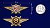 Знак в бархатистом футляре Росгвардии Классная квалификация Мастер (специалист 2-го класса) 7