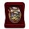 Знак в бархатистом футляре За службу в РВиА 3