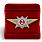 Знак в бархатистом футляре Росгвардии Квалификационное звание Специалист 2-го класса 2