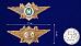 Знак в бархатистом футляре ФТС  Мастер 8
