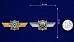 Знак в бархатистом футляре МО РФ Классная квалификация 8