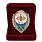 Знак в бархатистом футляре Отличник ВВС 2