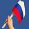 Набор флажков России (5 штук) 2