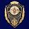 Знак Отличник Инженерных войск 1