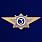 Знак классного специалиста МВД России (специалист 3-го класса) 1