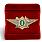 Знак в бархатистом футляре ФТС  Специалист 1 класса 2