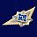 Знак в бархатистом футляре ФСИН Специалист 2 класса 6