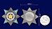 Орден За службу Родине в ВС(2 степень) (Муляж) 5