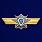 Знак МО РФ Классная квалификация Специалист 1-го класса 1