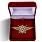Знак в бархатистом футляре Росгвардии Классная квалификация Мастер 1