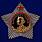 Копия Фрачный знак Орден Суворова 1 степени 1