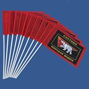 Набор флажков Морской пехоты Спутник (10 штук)