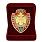 Знак в бархатистом футляре Ветеран МЧС  коллекционные 50 экземпляров 3