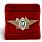 Знак в бархатистом футляре ФТС  Мастер 3