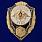 Знак Отличник РХБЗ 1