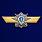 Знак МО РФ Классная квалификация Специалист 3-го класса 1